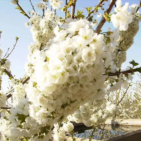 Rural Rubi * El Torno (Extremadura)